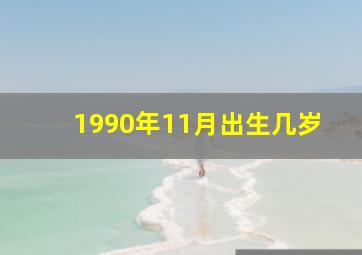 1990年11月出生几岁