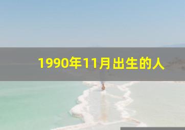 1990年11月出生的人