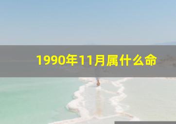 1990年11月属什么命