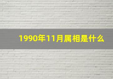 1990年11月属相是什么