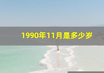 1990年11月是多少岁