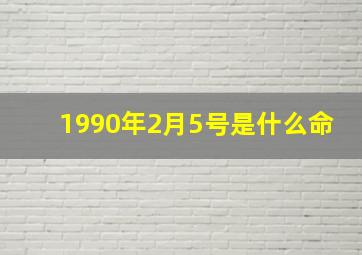 1990年2月5号是什么命