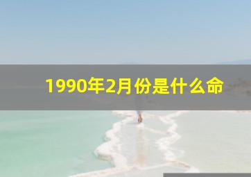 1990年2月份是什么命