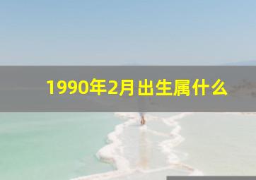 1990年2月出生属什么