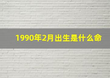 1990年2月出生是什么命