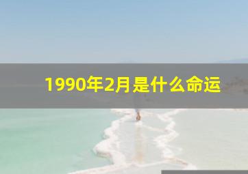 1990年2月是什么命运