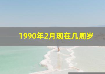 1990年2月现在几周岁