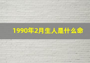 1990年2月生人是什么命