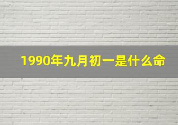 1990年九月初一是什么命