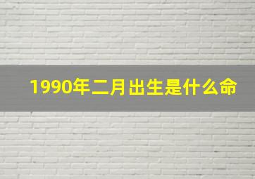 1990年二月出生是什么命