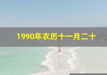 1990年农历十一月二十