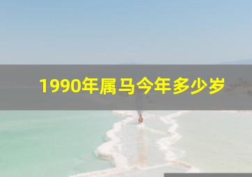 1990年属马今年多少岁