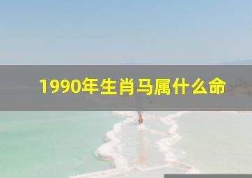 1990年生肖马属什么命