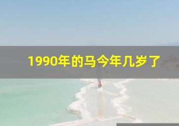 1990年的马今年几岁了