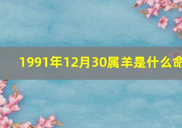 1991年12月30属羊是什么命