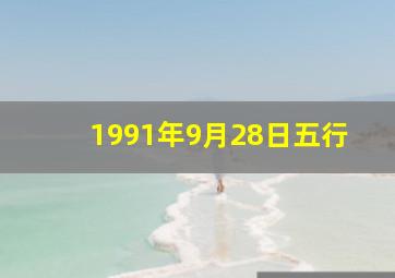 1991年9月28日五行