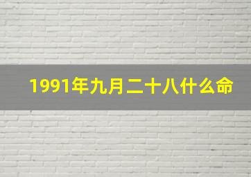 1991年九月二十八什么命