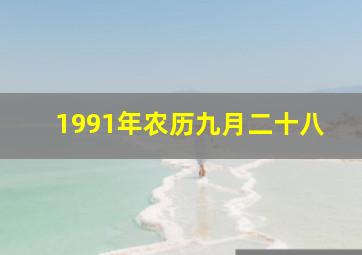 1991年农历九月二十八