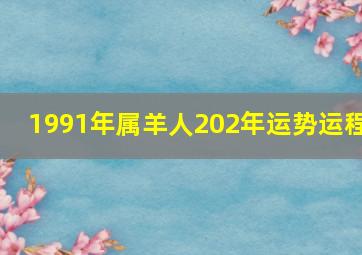 1991年属羊人202年运势运程