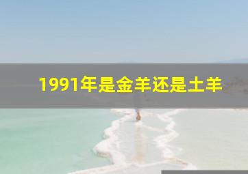 1991年是金羊还是土羊