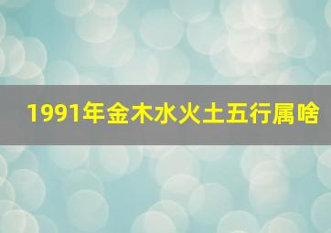 1991年金木水火土五行属啥