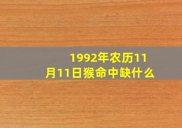 1992年农历11月11日猴命中缺什么