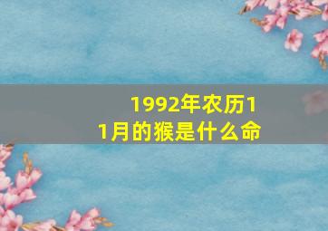 1992年农历11月的猴是什么命