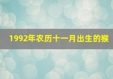 1992年农历十一月出生的猴