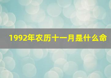 1992年农历十一月是什么命