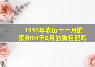 1992年农历十一月的猴和94年8月的狗相配吗