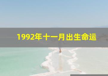 1992年十一月出生命运