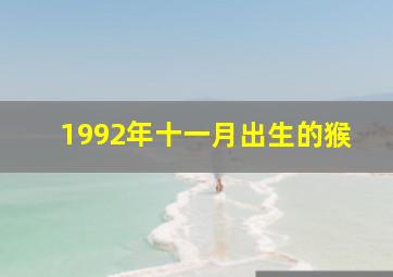 1992年十一月出生的猴