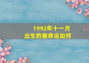 1992年十一月出生的猴命运如何