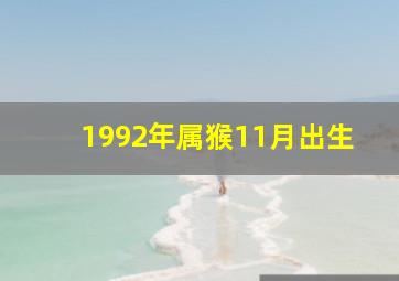 1992年属猴11月出生