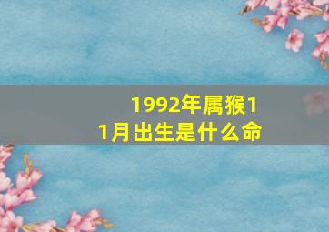 1992年属猴11月出生是什么命