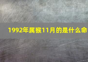 1992年属猴11月的是什么命