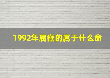 1992年属猴的属于什么命