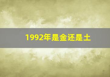 1992年是金还是土