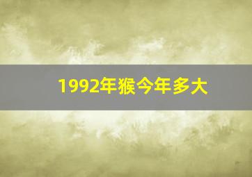 1992年猴今年多大