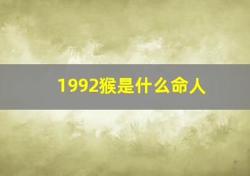 1992猴是什么命人