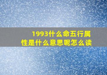 1993什么命五行属性是什么意思呢怎么读