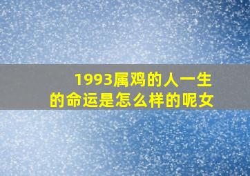 1993属鸡的人一生的命运是怎么样的呢女