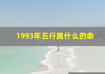 1993年五行属什么的命