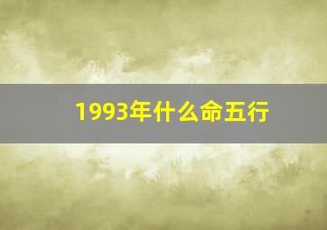 1993年什么命五行