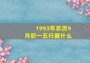 1993年农历9月初一五行属什么