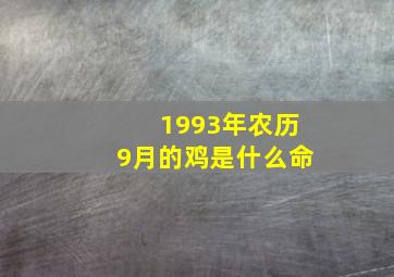 1993年农历9月的鸡是什么命