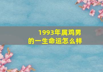 1993年属鸡男的一生命运怎么样