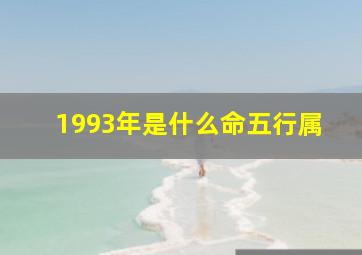 1993年是什么命五行属