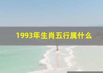 1993年生肖五行属什么