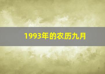 1993年的农历九月